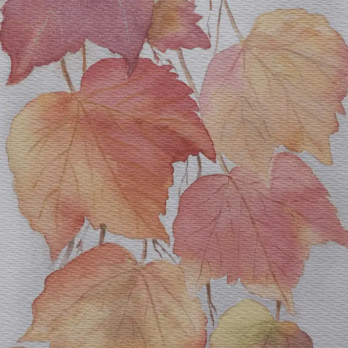 Hojas de otoño