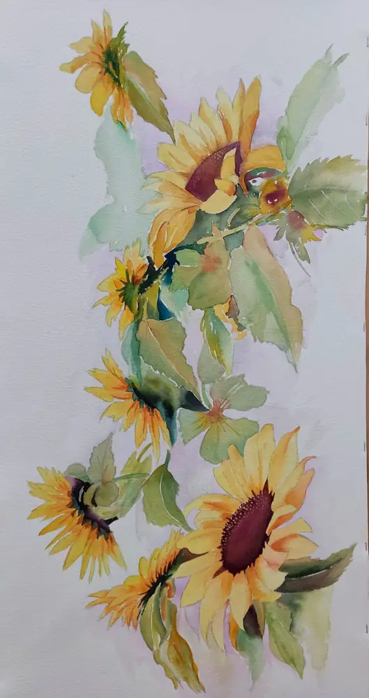 Girasoles