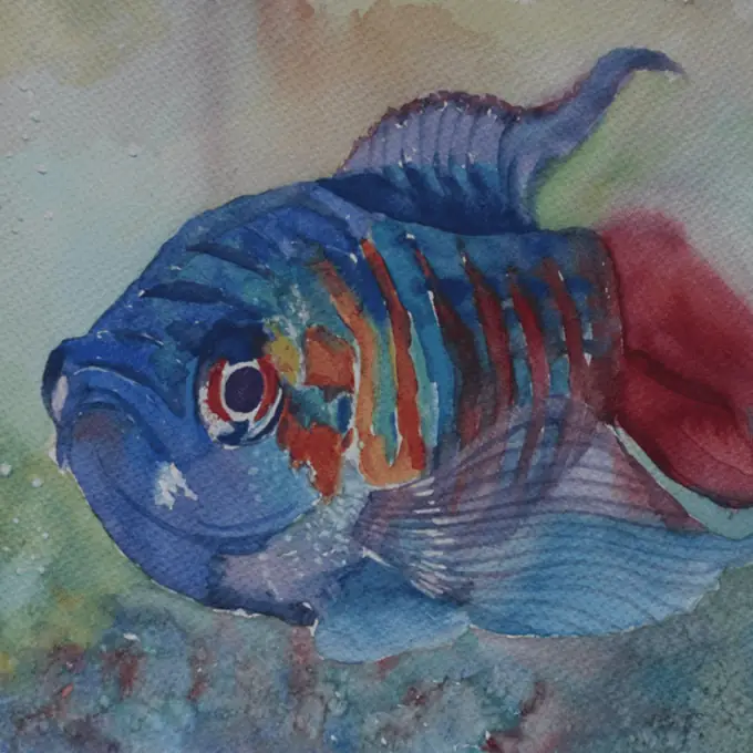 Disfrutando de colores