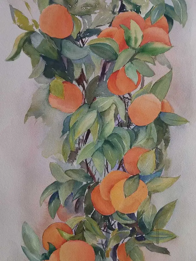 Mandarinas