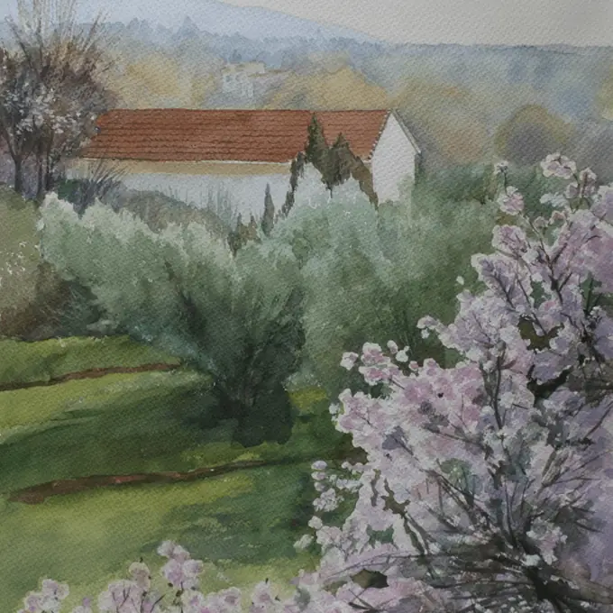 Almendros en flor, Gójar (Granada)