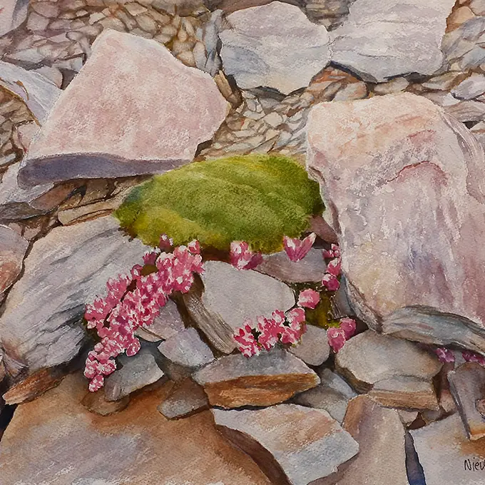 Rocas en Sierra Nevada