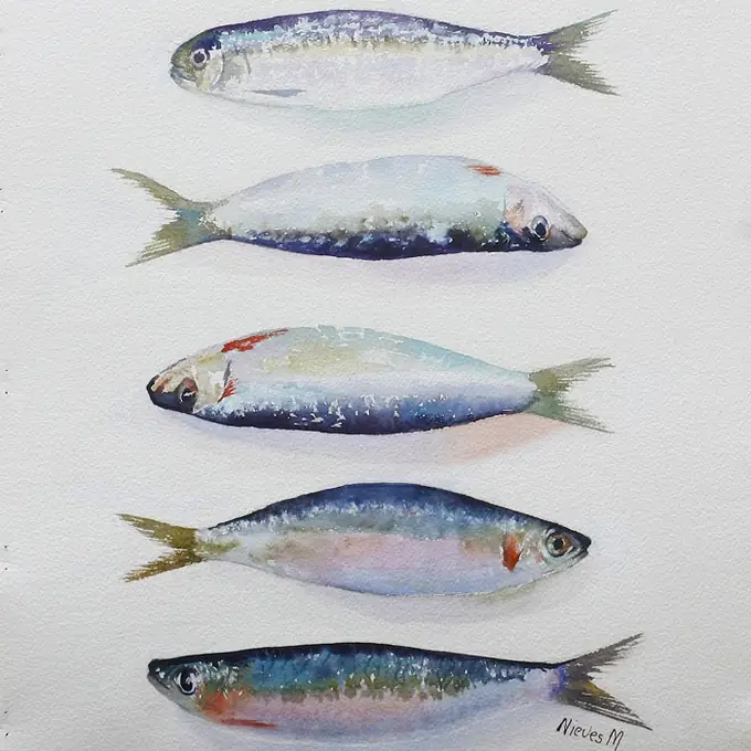 Sardinas